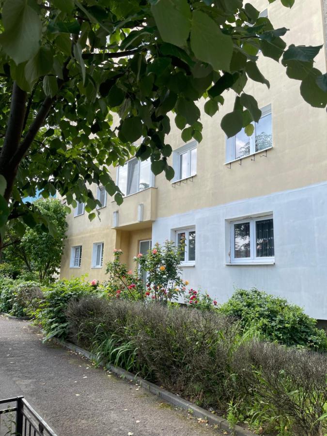 Ego Deluxe Apartment - Central Location Sibiu Exterior foto